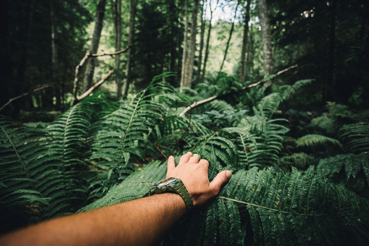 iot applications for environment