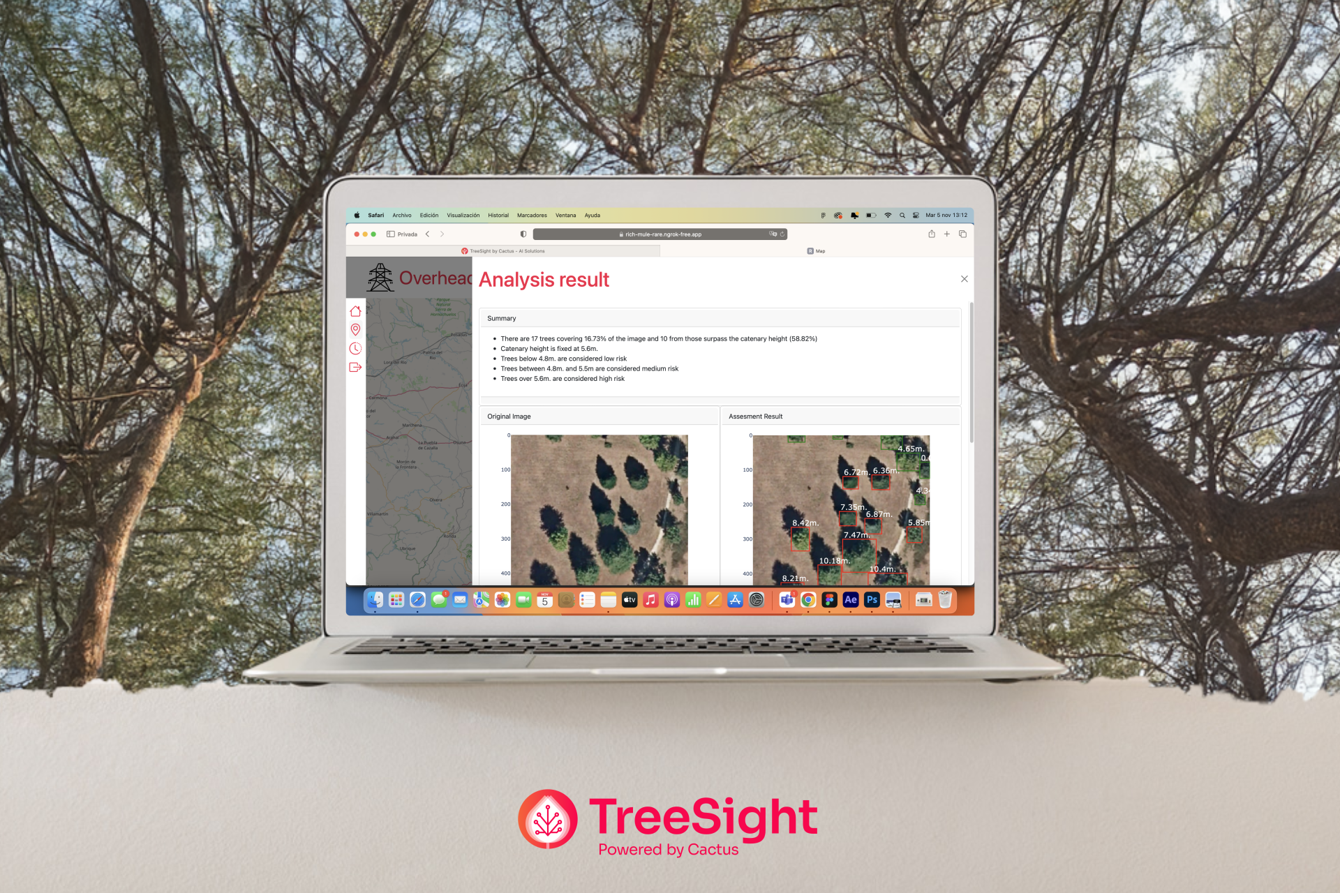 Summary Analysis Results TreeSight Layout